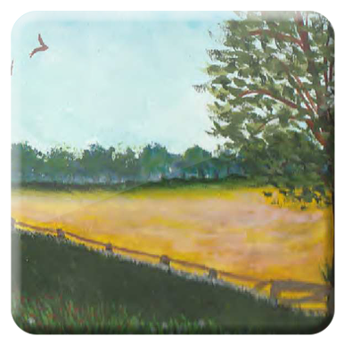 © Gerry Jöris  - Koolzaadveld - aquarel op papier 300 gr - 26x26 - 01052026