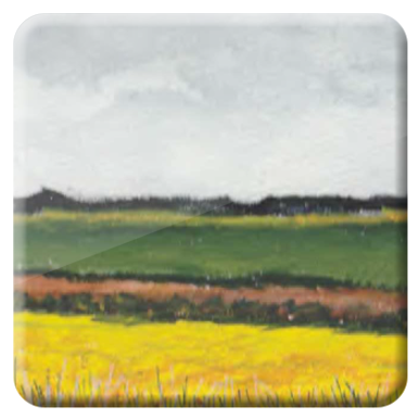 © Gerry Jöris  - Landschap met koolzaad - aquarel op papier 300 gr - 13x38 - 28042026